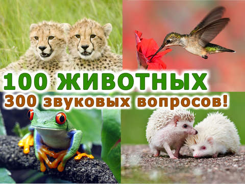 Животные для детей! Развивающие игры для малышей. Детская игра развивалка: детский сад (малыш, ребенок, мальчик, девочка 2, 3, 4 года) Животные для детей! Развивающие игры для малышей. Детская игра развивалка: детский сад (малыш, ребенок, мальчик, девочка 2, 3, 4 года)