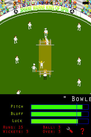 Shane Warne King of Spin Cricket - Mini Bowling screenshot 3