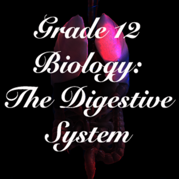 Grade 12 Biology: The Digestive System LOGO-APP點子