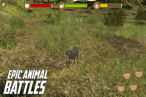 Sheep Simulator - HD screenshot 3