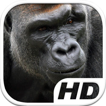 Gorilla Simulator HD Animal Life 遊戲 App LOGO-APP開箱王