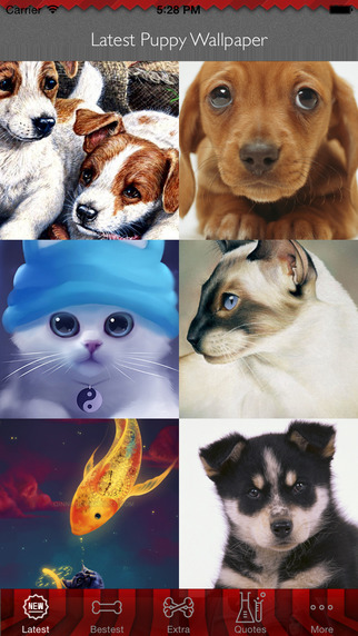 Best HD Puppy Art Wallpapers for iOS 8 Backgrounds: Animal Theme Pictures Collection