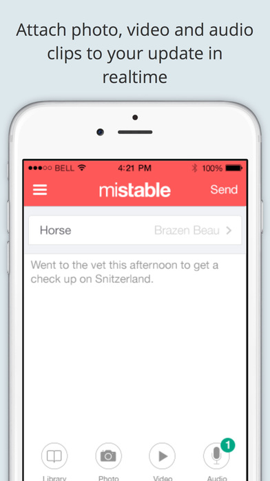 iPhone Screenshot 4