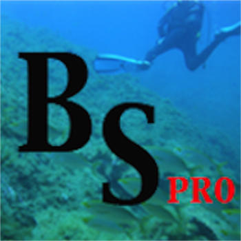 Buceo PRO LOGO-APP點子