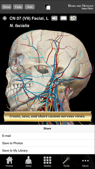 免費下載醫療APP|Brain and Nervous Anatomy Atlas: Essential Reference for Students and Healthcare Professionals app開箱文|APP開箱王