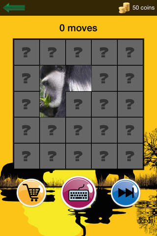 African Animals: Guess game screenshot 2