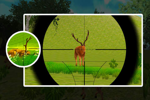Deer Hunting in Jungle screenshot 4