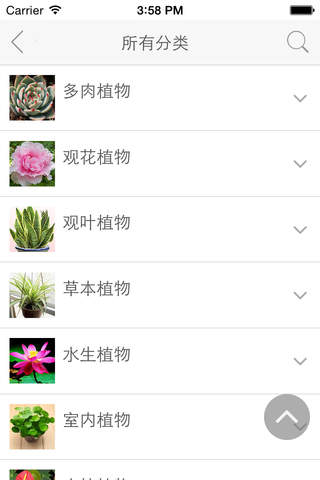 花卉V5.3 screenshot 3