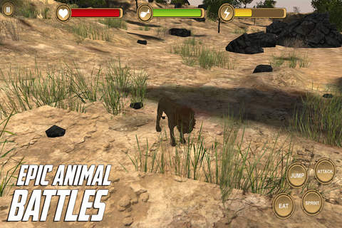 Lion Simulator HD Animal Life screenshot 3