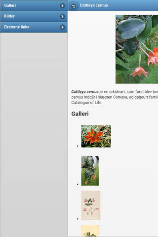 Directory of houseplants screenshot 3
