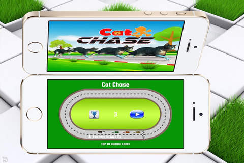 Cat Chase HD screenshot 3