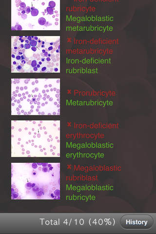BYU Hematology screenshot 4