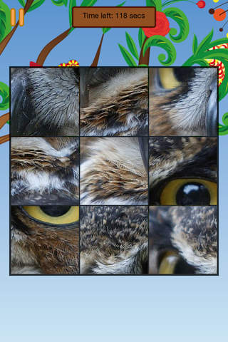 Birds World Puzzle screenshot 2