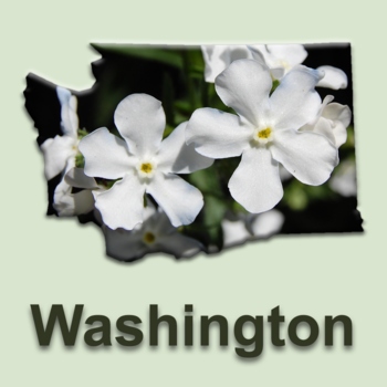 Washington Rare Plants LOGO-APP點子