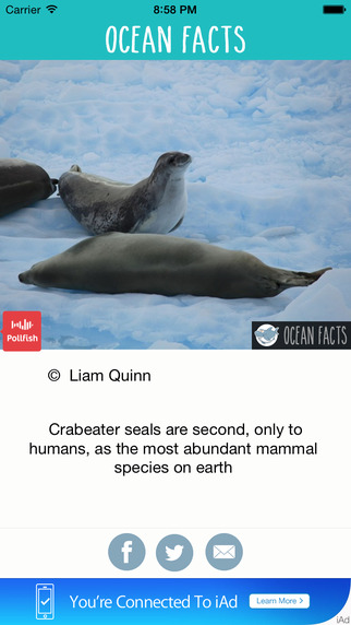 免費下載娛樂APP|Oceans Facts app開箱文|APP開箱王