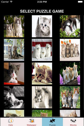Cats Wallpaper Kitten Wallpapers, Cats Puzzle & Cats Info screenshot 3