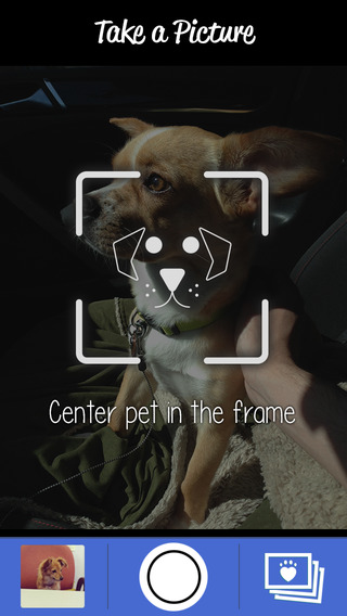 iPhone Screenshot 5