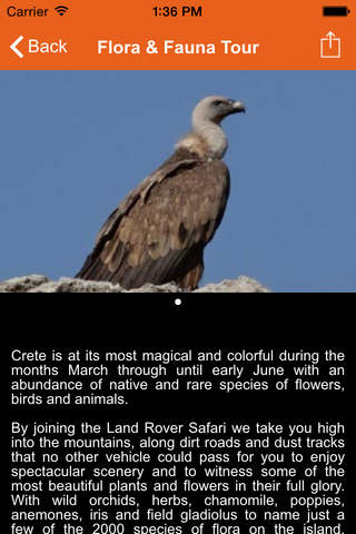 Safari Club Crete screenshot 4