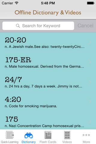 Gay Slang: Best Dictionary with Video Lessons and Important Facts screenshot 3