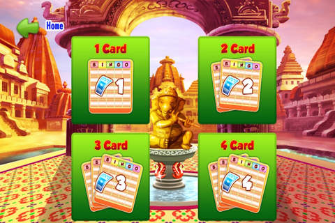 Mega Casino Bingo Royle Blitz screenshot 3