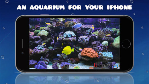 Aquarium HD : Tropical and Marine Fish Tank Scenes