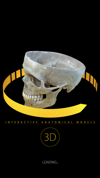 Skeletal System 3D Atlas of Anatomy