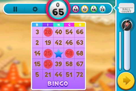 Bingo Night screenshot 3