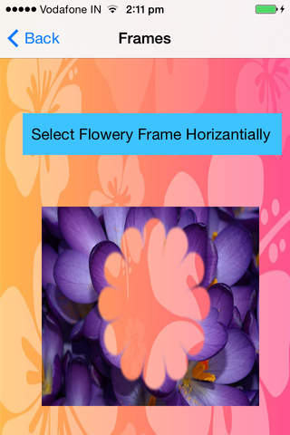 Photos on Flower Frames screenshot 2