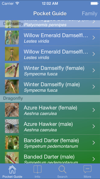 【免費書籍App】Pocket Guide UK Dragonflies-APP點子