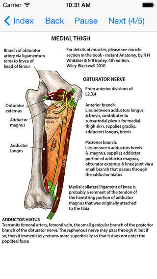 【免費醫療App】Anatomy Lectures Limbs-APP點子