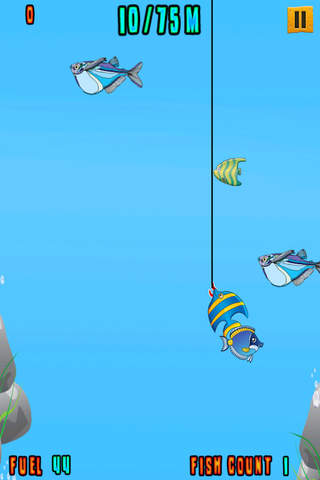 Ninja Kitty Fish Slicer Pro - Cute Kitten Fishing Quest screenshot 4