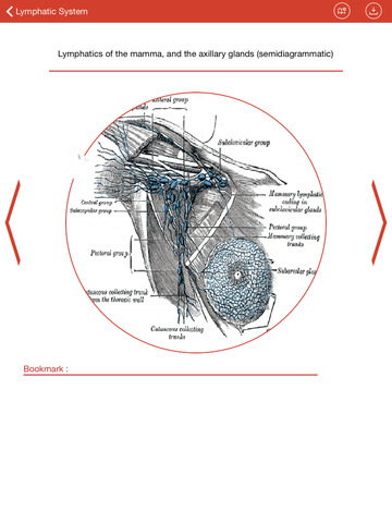 【免費教育App】Gray Anatomy Application 2015-APP點子