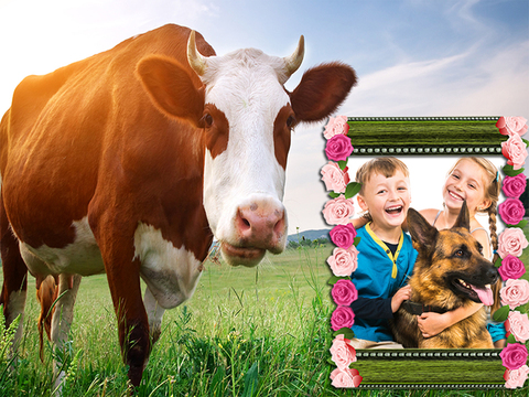 免費下載攝影APP|Goat And Cow Photo Frames app開箱文|APP開箱王