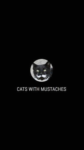 Cats With Mustaches