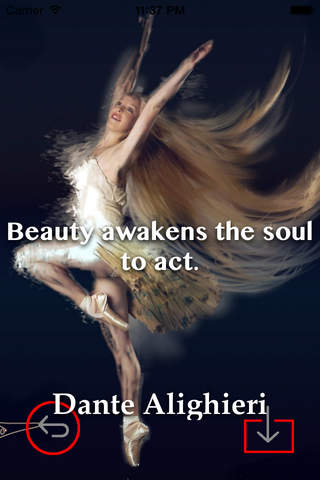 Ballet Art Theme HD Wallpaper and Best Inspirational Quotes Backgrounds Creator screenshot 4