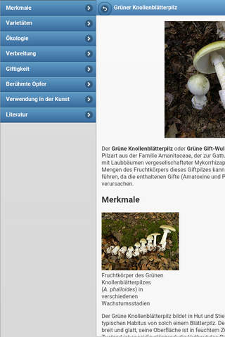 Directory of mushrooms screenshot 4