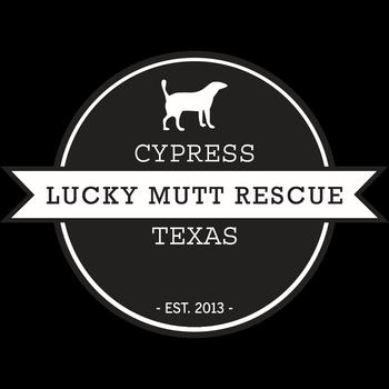 Cypress Lucky Mutt Rescue 生活 App LOGO-APP開箱王