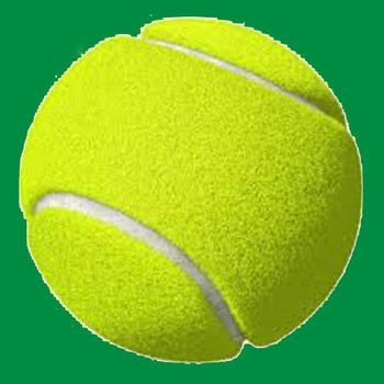 Tennis Skills 運動 App LOGO-APP開箱王