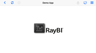 RayBI screenshot 2