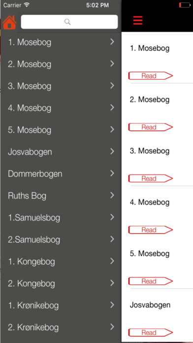 Danish Bible screenshot 2