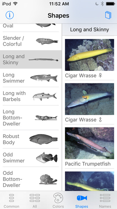 Snorkel Fish Hawaii for iPhone screenshot 3