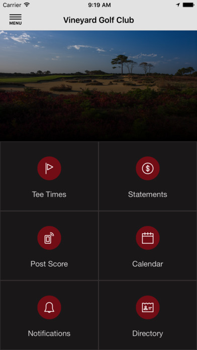 Vineyard Golf Club screenshot 2