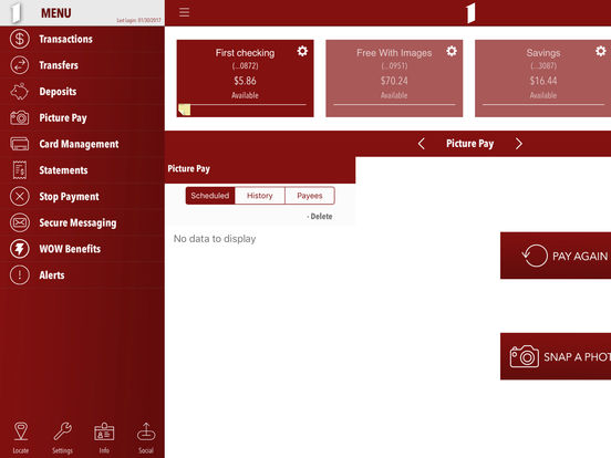 iPad Screenshot 2