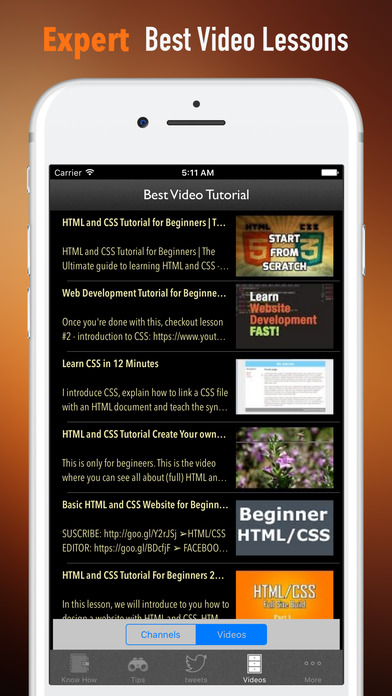 HTML and CSS Build Websites-Beginners Tips screenshot 3
