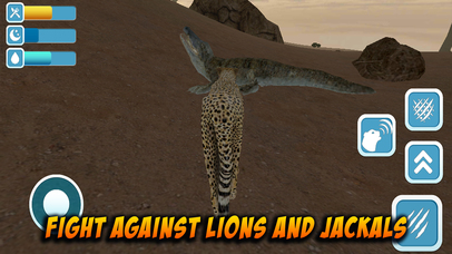 Cheetah Wild Life Simulator 3D screenshot 3