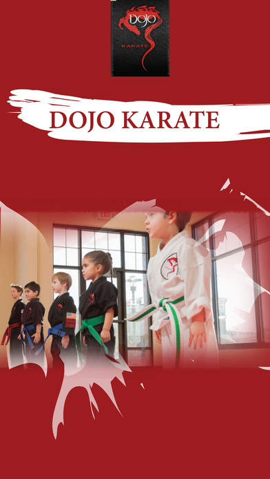 Dojo Karate screenshot 3