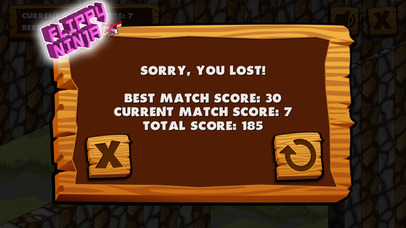 Flippy Ninja Challenges! screenshot 3
