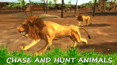 Wild Lion Simulator - Jungle Animal Hunter screenshot 4