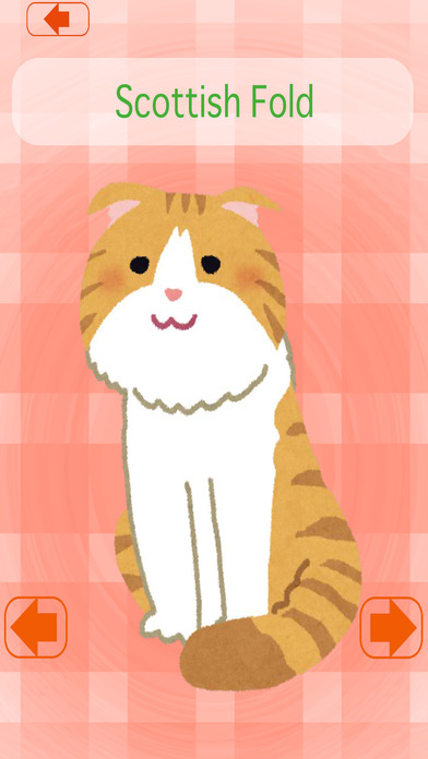 Cat Concentration (card game) pure screenshot 3