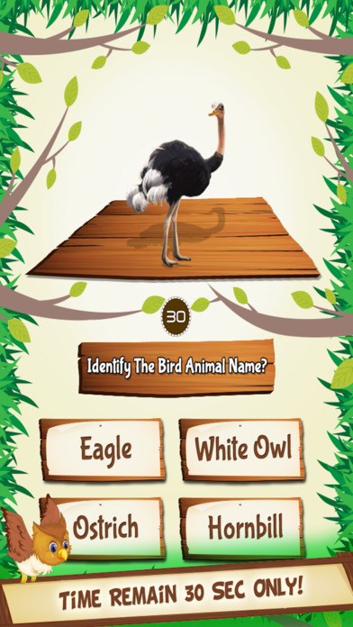 Bird Quiz Kids Game Pro screenshot 4